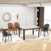ACE65 Dining Set 1+4 <br> (Sintered Stone-White)