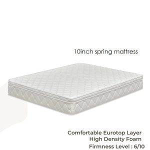 Dream Star 10inch Euro Top Spring Mattress (Queen)